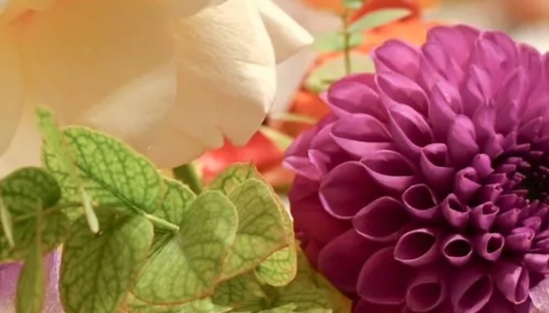 Flower Painting Workshop