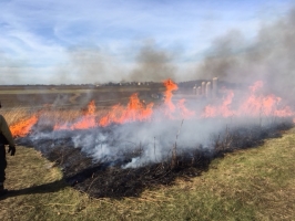 Prescribed burn fall 2017 (Photo: A.Dusick)