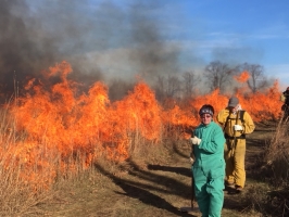 Prescribed burn fall 2017 (Photo: A.Dusick)